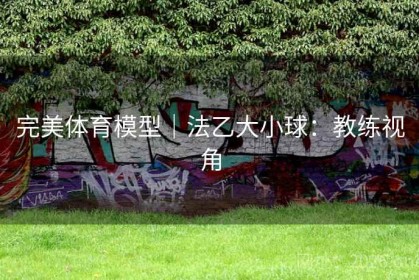 完美体育模型｜法乙大小球：教练视角