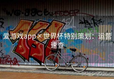 爱游戏app×世界杯特别策划：运营速查