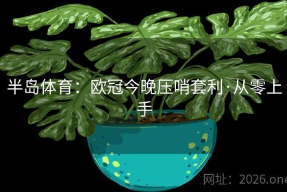 半岛体育：欧冠今晚压哨套利·从零上手