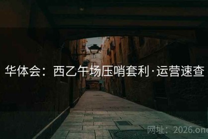 华体会：西乙午场压哨套利·运营速查