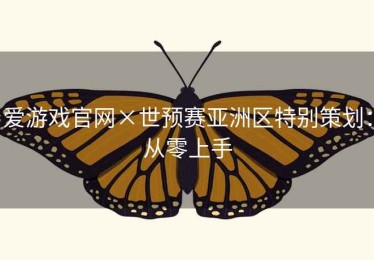 爱游戏官网×世预赛亚洲区特别策划：从零上手