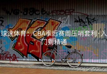 球速体育：CBA季后赛周压哨套利·入门到精通