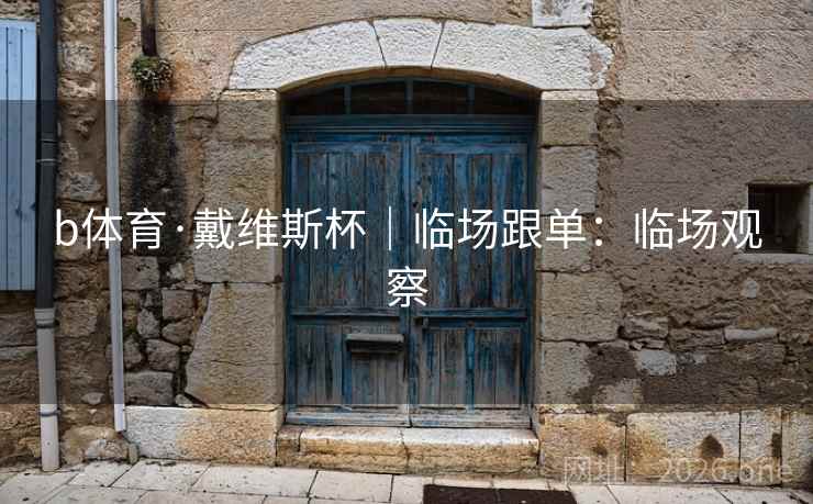 b体育·戴维斯杯｜临场跟单：临场观察