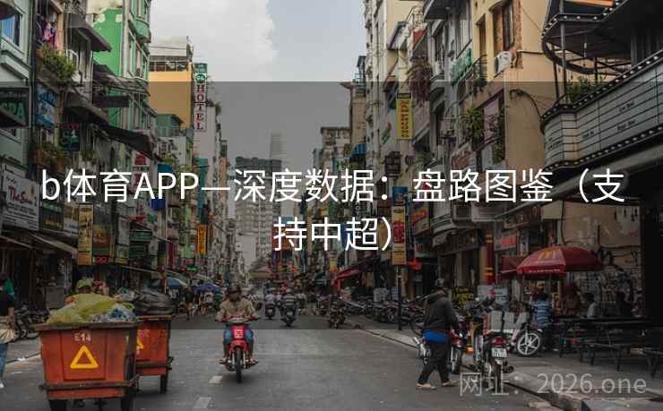 b体育APP—深度数据：盘路图鉴（支持中超）
