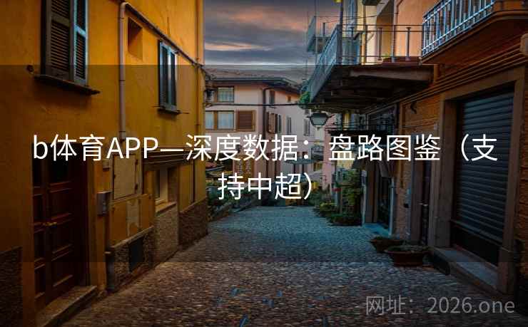 b体育APP—深度数据：盘路图鉴（支持中超）