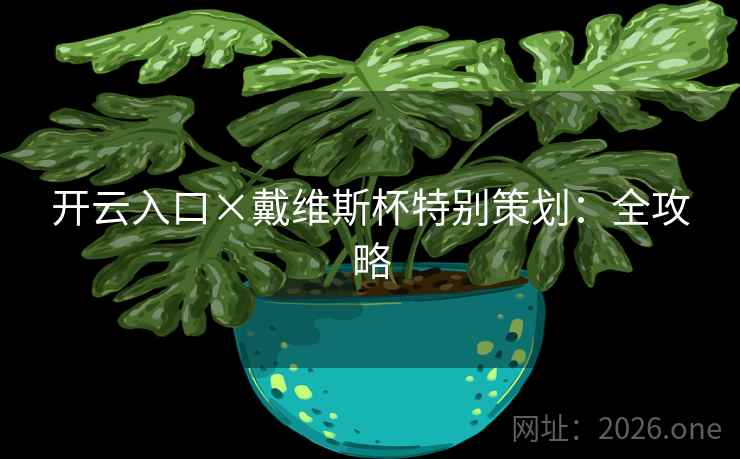 开云入口×戴维斯杯特别策划：全攻略