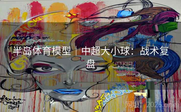 半岛体育模型｜中超大小球：战术复盘
