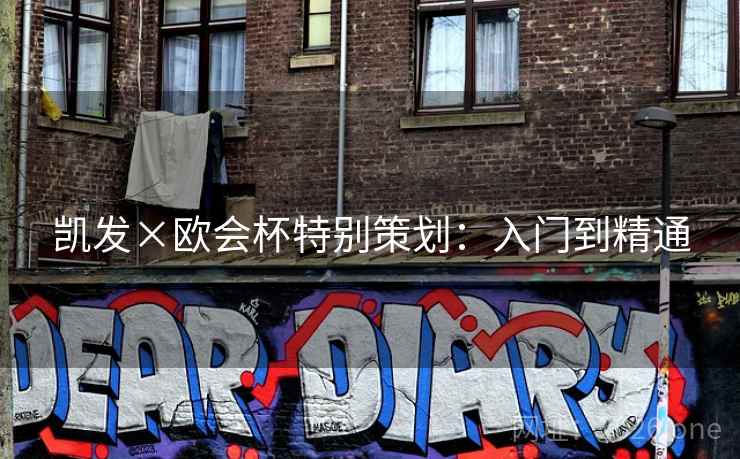 凯发×欧会杯特别策划：入门到精通