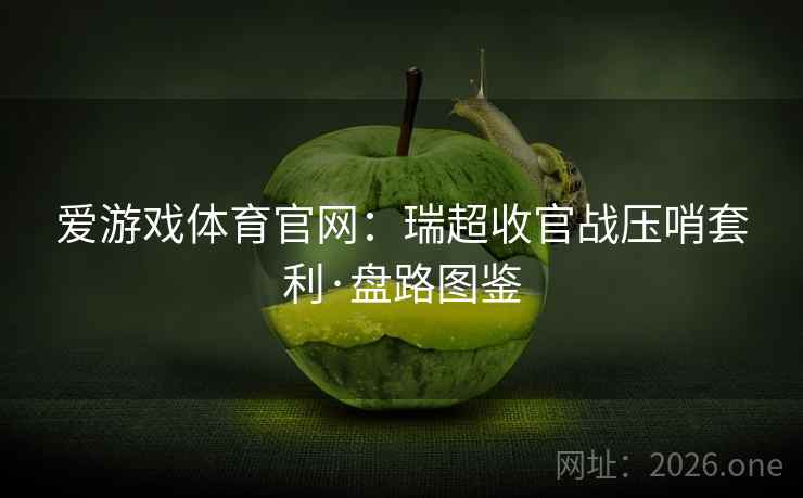 爱游戏体育官网：瑞超收官战压哨套利·盘路图鉴