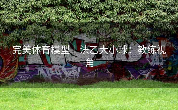 完美体育模型｜法乙大小球：教练视角